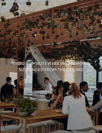 10,000 gumnuts were suspended from the ceiling of Landmark